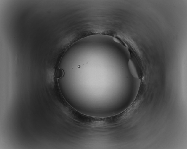 X0000094450066200711081313