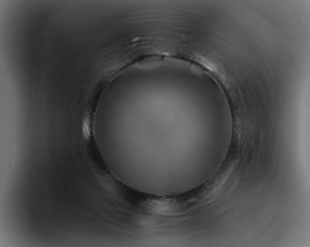 X0000094450069200711081313