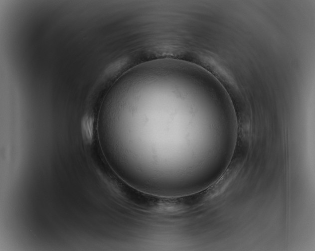 X0000094450070200711081313