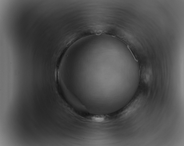 X0000094450076200711081313