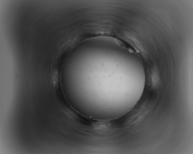 X0000094450077200711081313