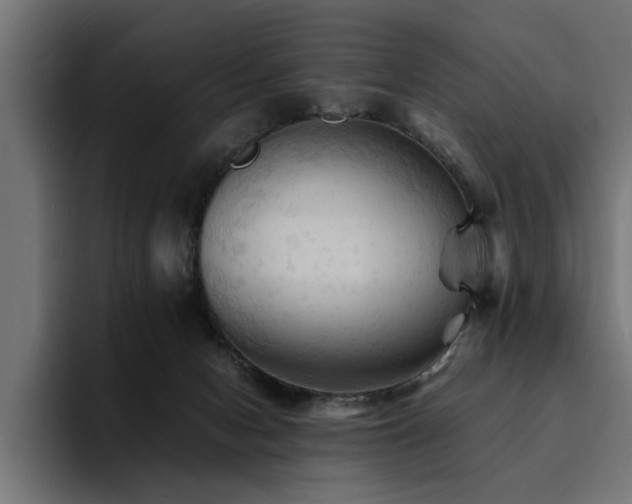 X0000094450078200711081313