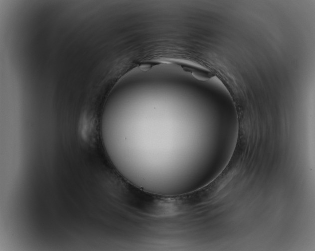 X0000094450079200711081313