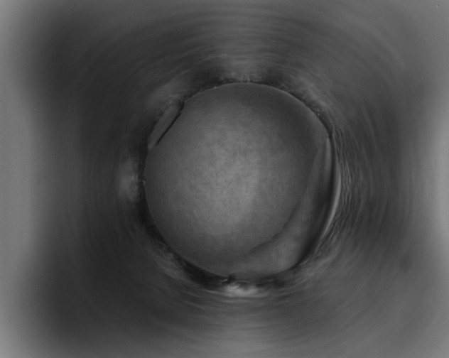 X0000094450080200711081313