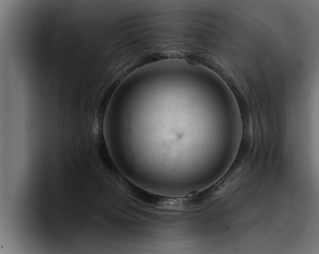 X0000094450084200711081313