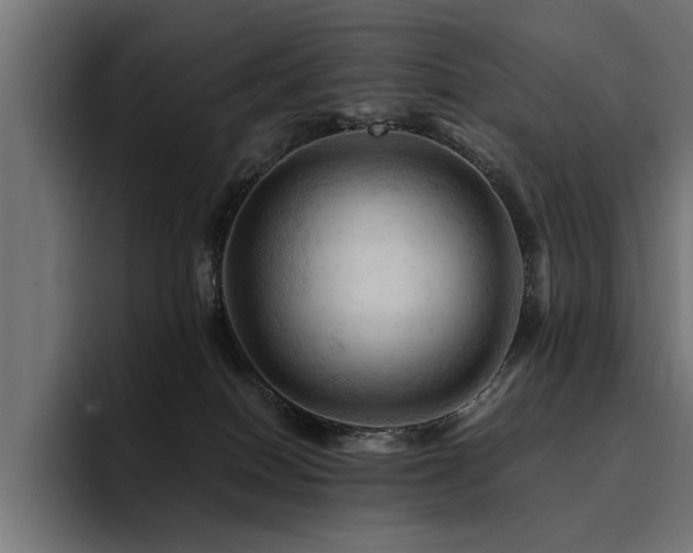 X0000094450086200711081313