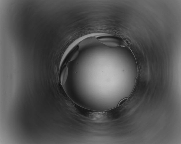 X0000094450089200711081313