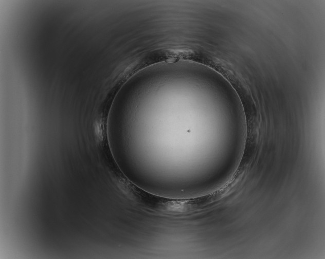 X0000094450090200711081313