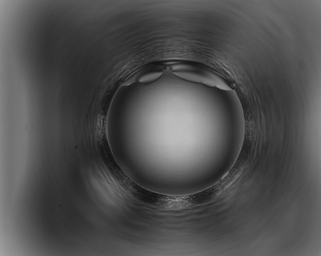 X0000094450093200711081314
