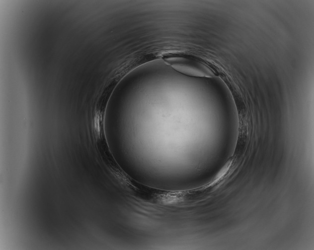 X0000094450094200711081314