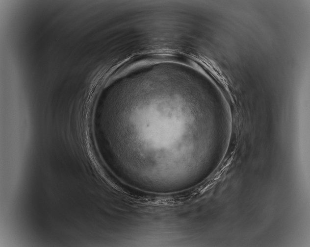 X0000094450097200711081313