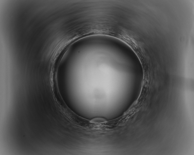 X0000094450098200711081313