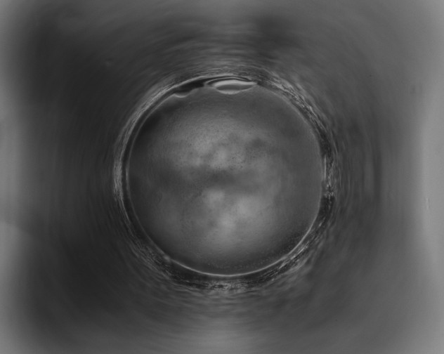 X0000094450099200711081313