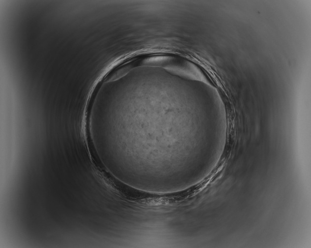 X0000094450100200711081313