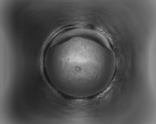 X0000094450101200711081313