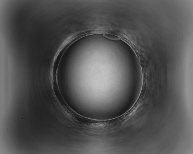 X0000094450102200711081313