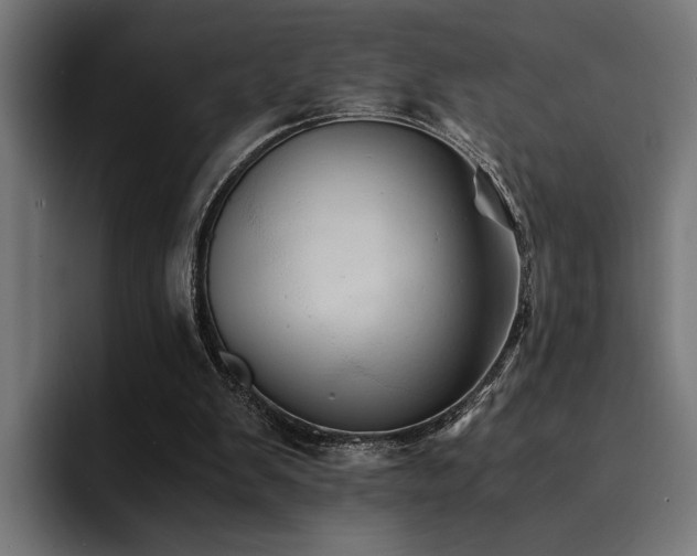 X0000094450103200711081313