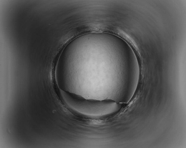 X0000094450105200711081313
