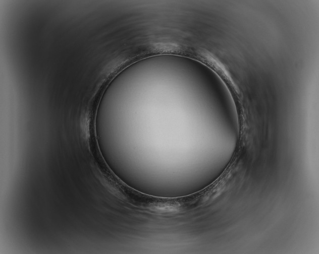 X0000094450106200711081313