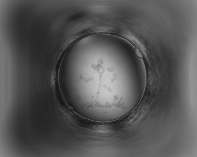 X0000094450107200711081313