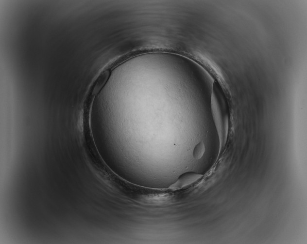 X0000094450108200711081313