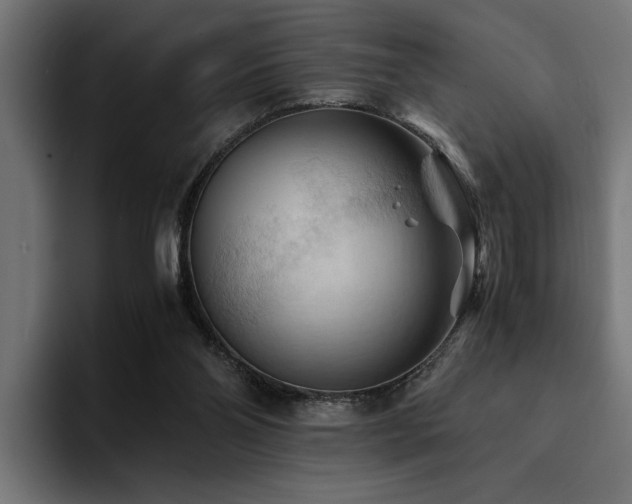 X0000094450110200711081313