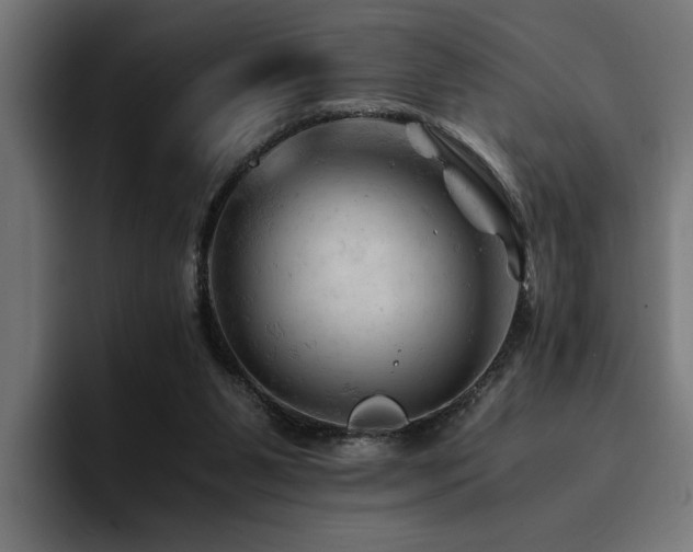 X0000094450111200711081313