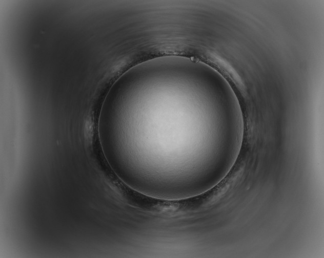 X0000094450113200711081313