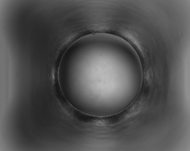 X0000094450115200711081313