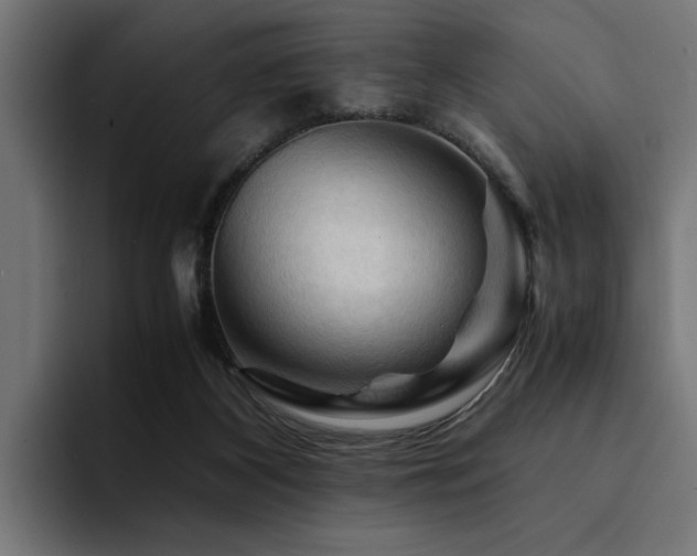 X0000094450116200711081313