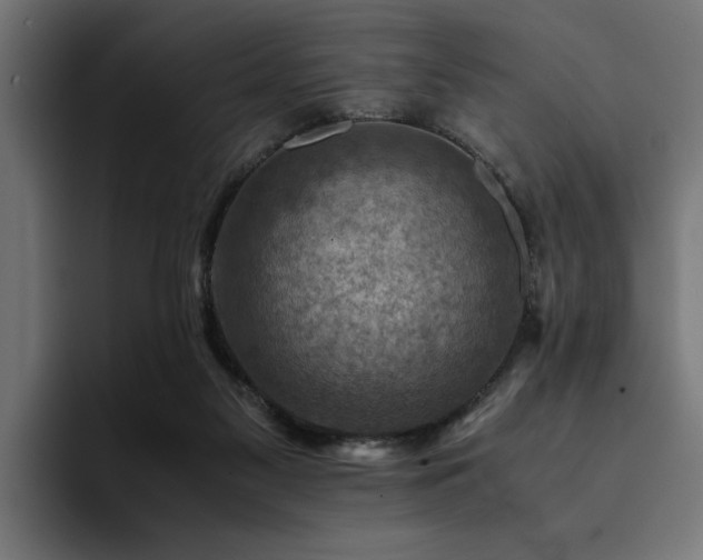 X0000094450117200711081313