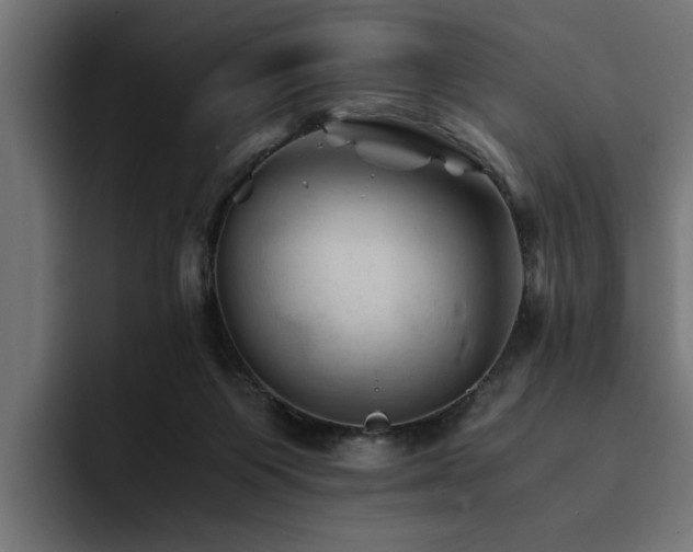 X0000094450119200711081313