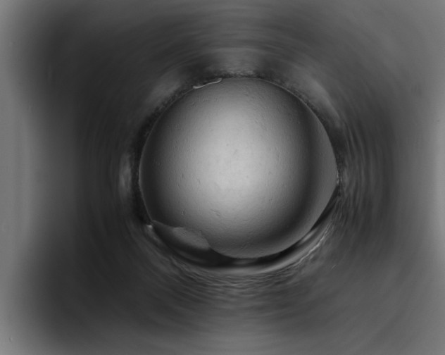X0000094450120200711081313
