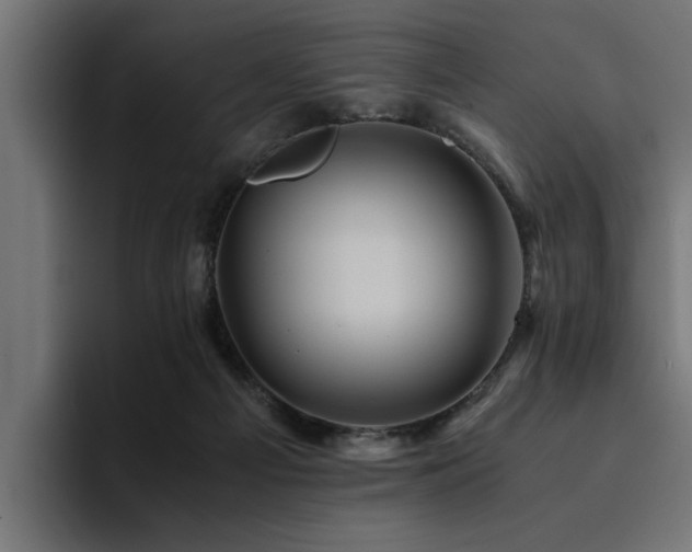 X0000094450121200711081313