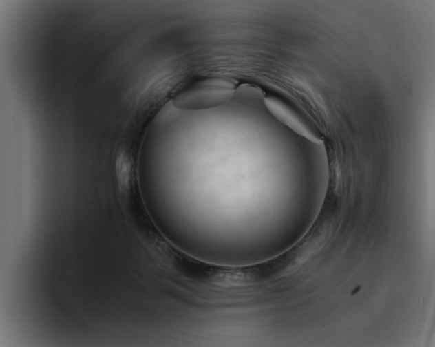 X0000094450123200711081313