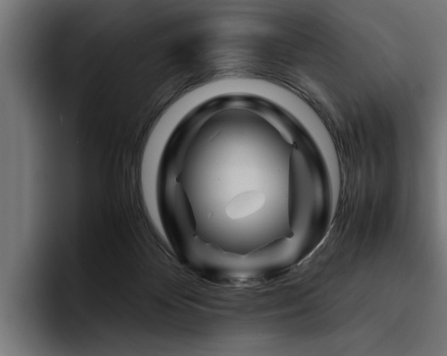 X0000094450124200711081313