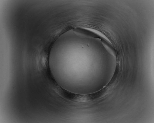 X0000094450127200711081313