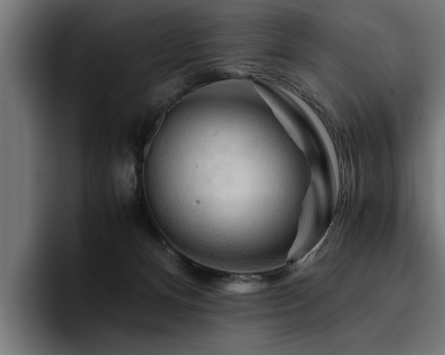 X0000094450128200711081313
