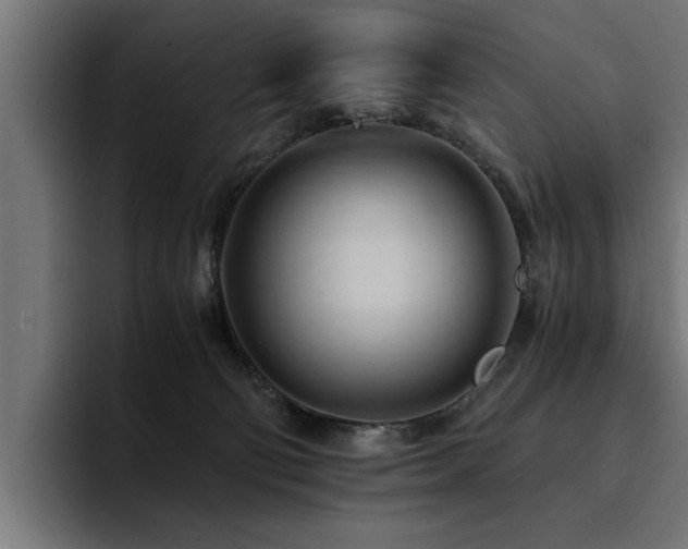X0000094450130200711081313