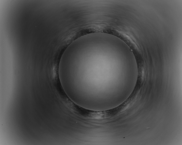 X0000094450131200711081312