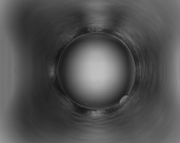 X0000094450134200711081312
