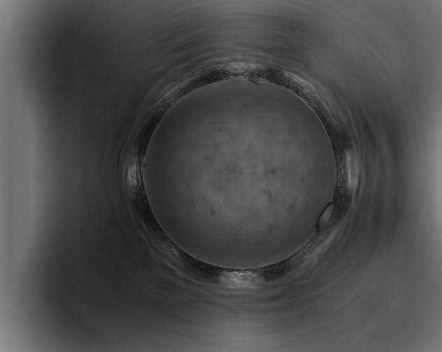 X0000094450137200711081312