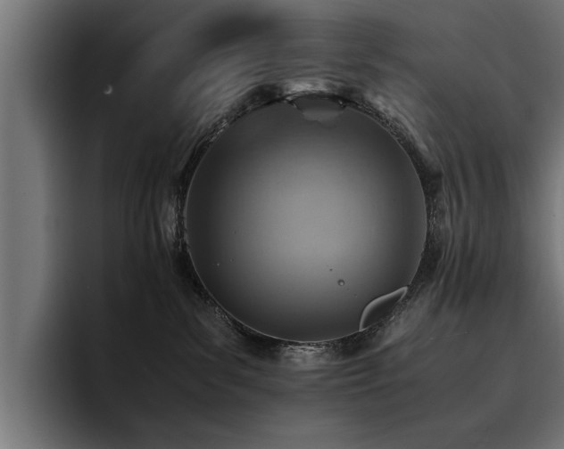 X0000094450139200711081312