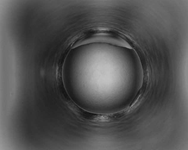 X0000094450140200711081312