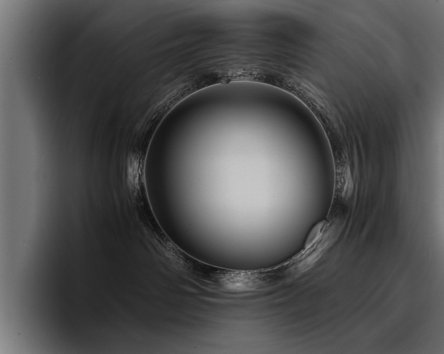 X0000094450142200711081312
