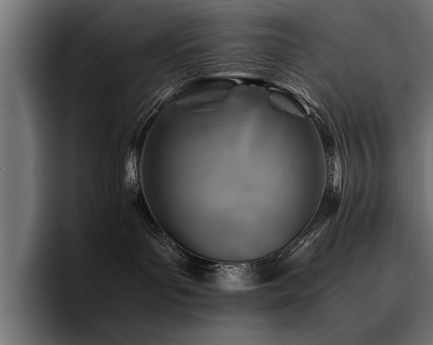X0000094450143200711081312