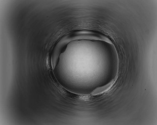 X0000094450144200711081312