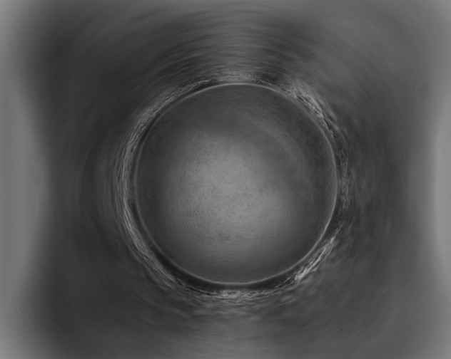 X0000094450145200711081312