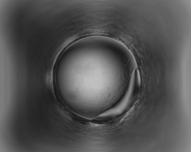 X0000094450148200711081312