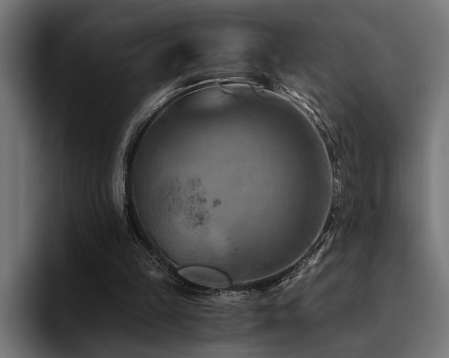 X0000094450149200711081312